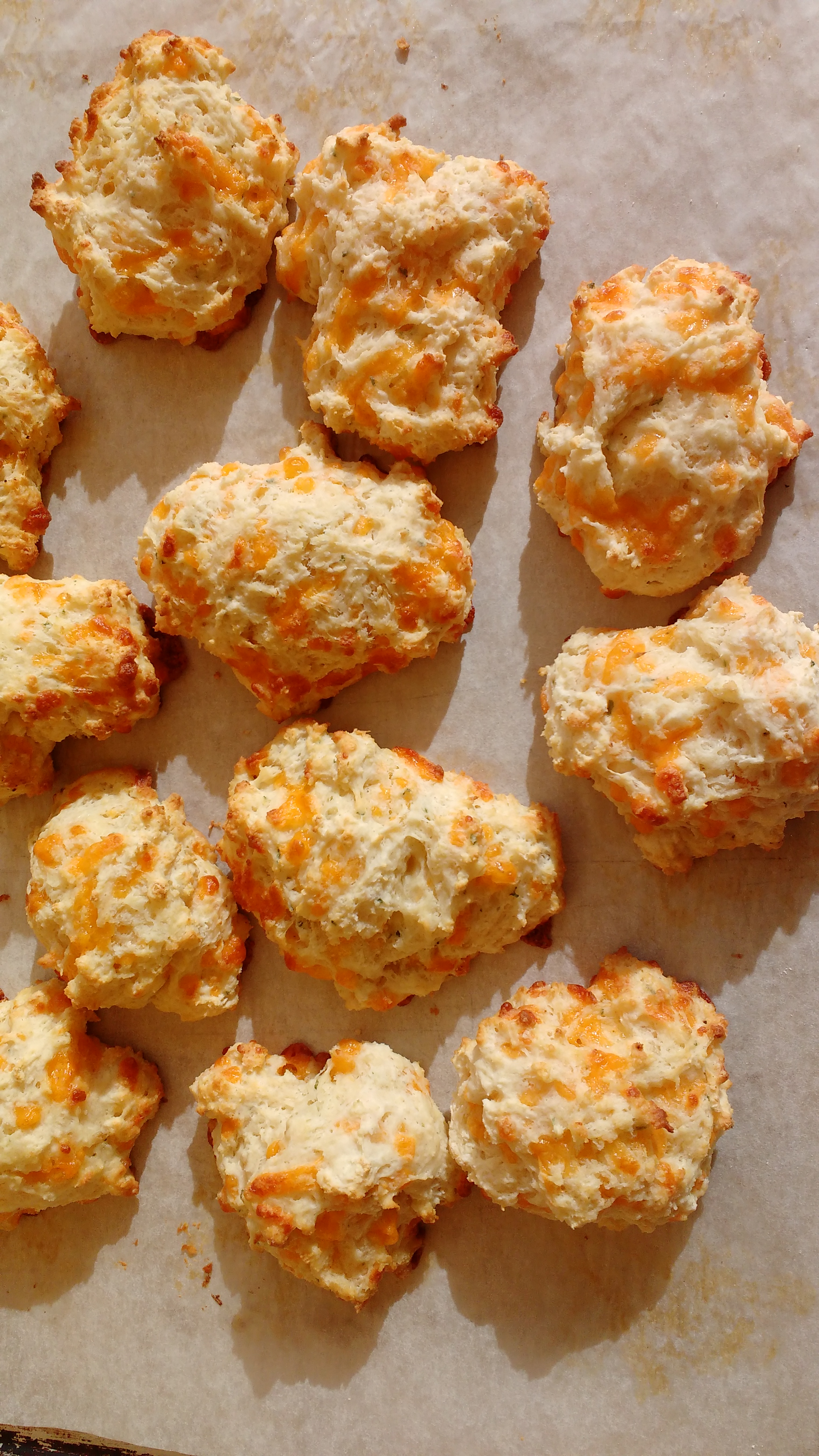 cheesy-biscuits